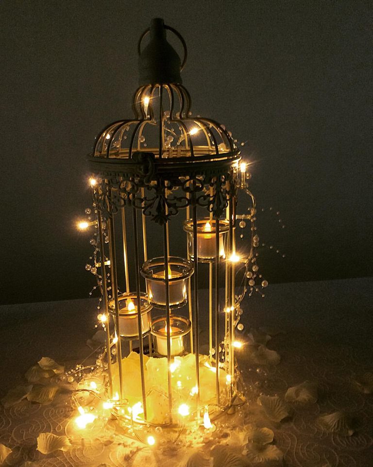 Birdcage 2.jpg